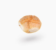 wyroby piekarnicze warszawa